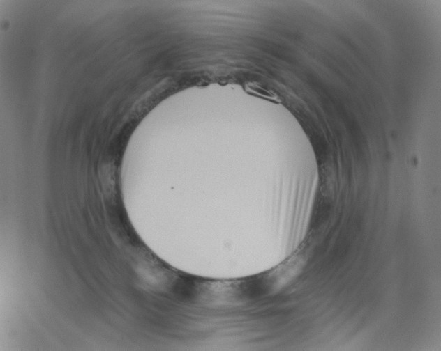 X0000062600184200601181613