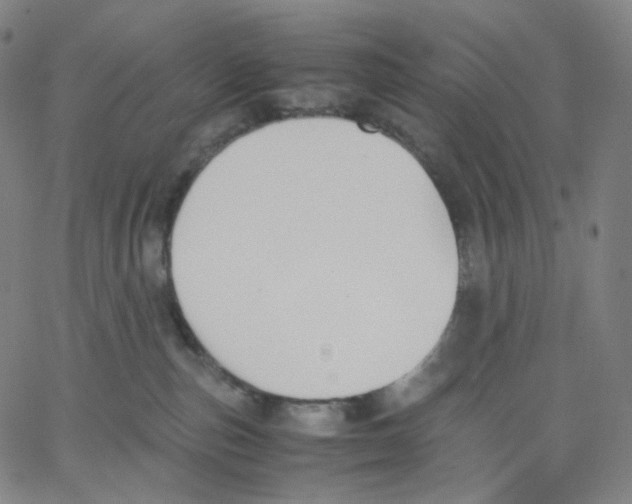 X0000062600187200601181613