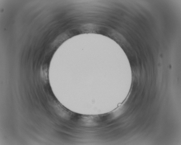 X0000062600190200601181614
