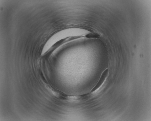 X0000062600192200601181614