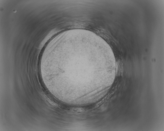 X0000062600195200601181613