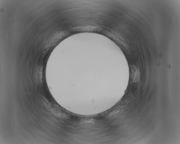 X0000062600206200601181613