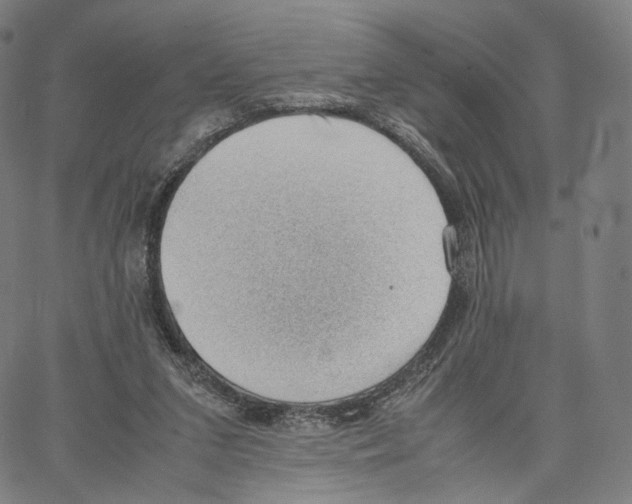 X0000062600207200601181613
