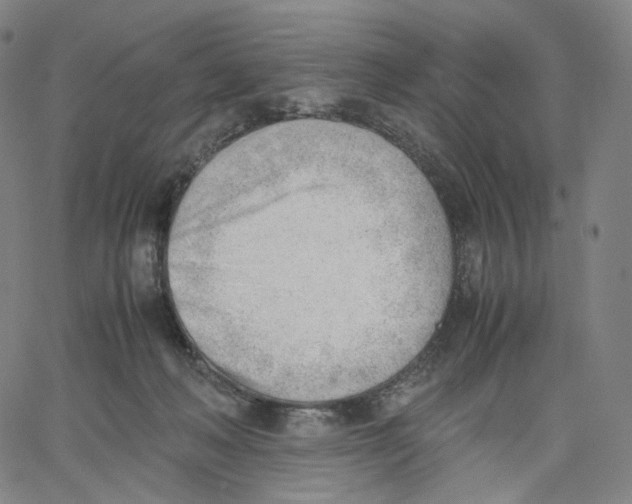 X0000062600222200601181612