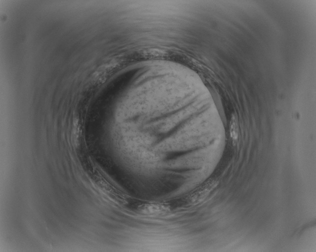 X0000062600223200601181612