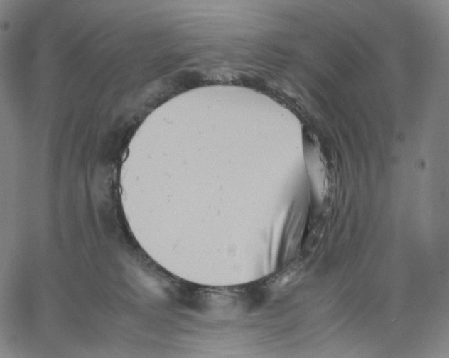 X0000062600229200601181612