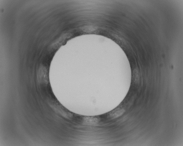 X0000062600234200601181612