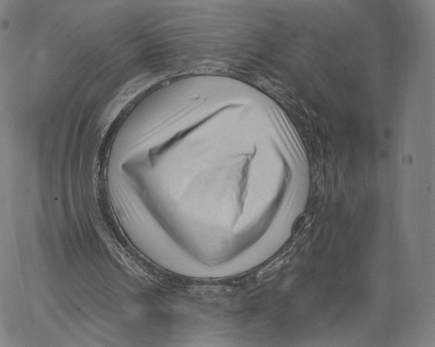X0000062600242200601181611
