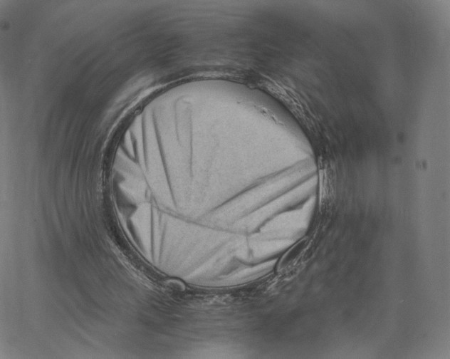 X0000062600243200601181611