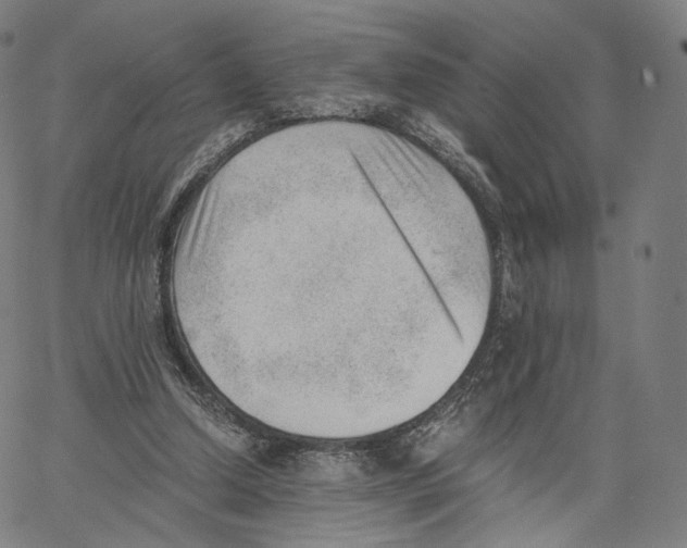 X0000062600250200601181611