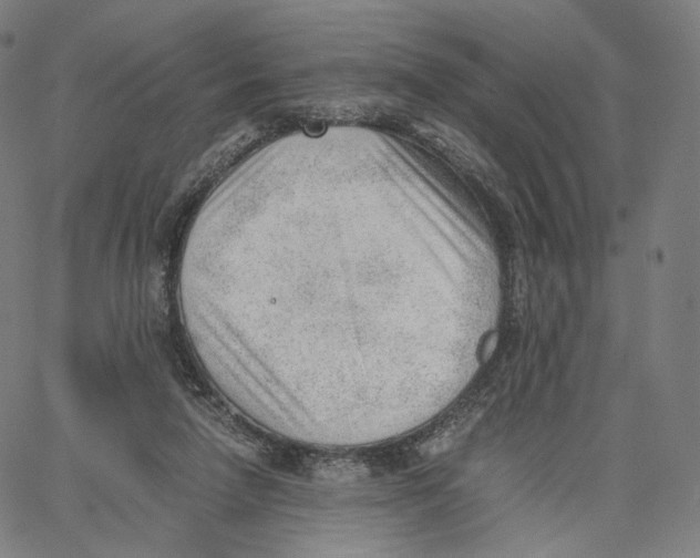 X0000062600258200601181612