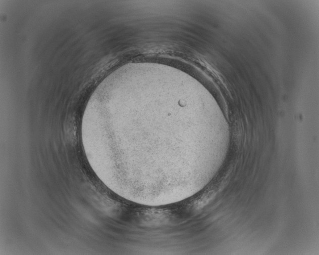 X0000062600261200601181612