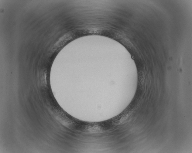 X0000062600262200601181612