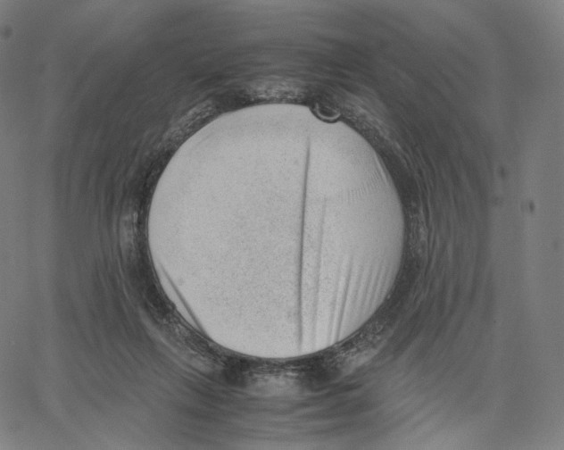 X0000062600263200601181612