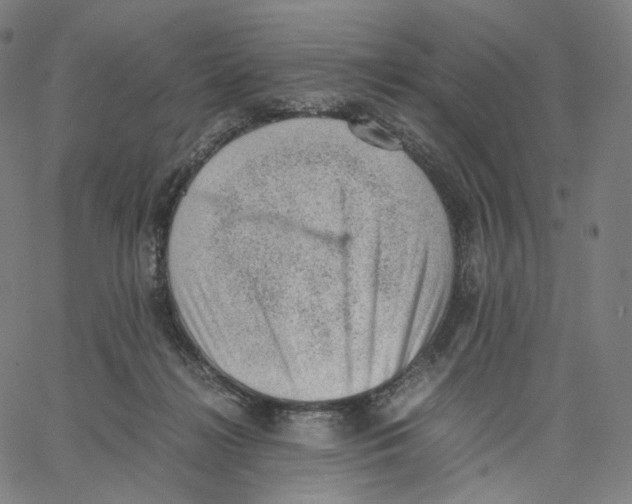 X0000062600268200601181612