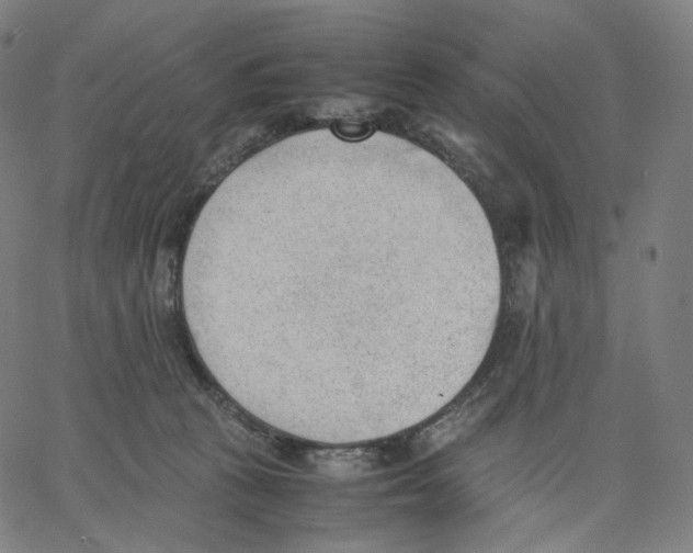 X0000062600273200601181612