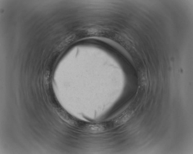 X0000062600275200601181612