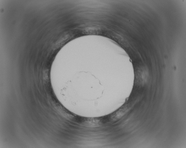 X0000062600278200601181612
