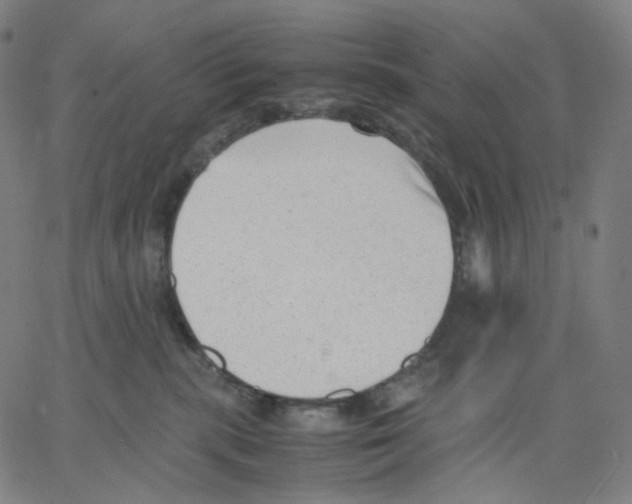 X0000062600283200601181612