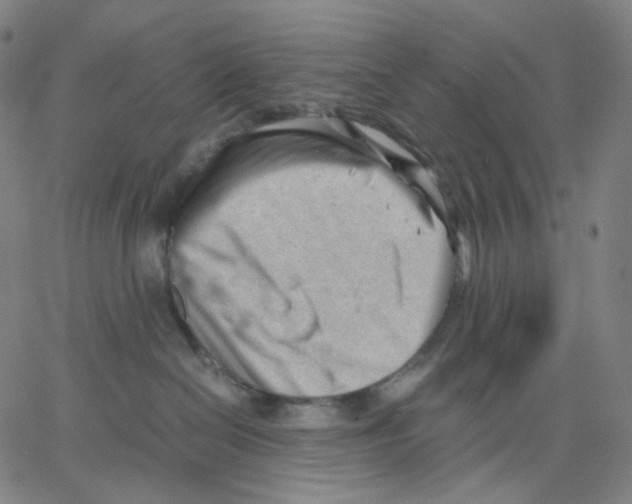 X0000062600286200601181612