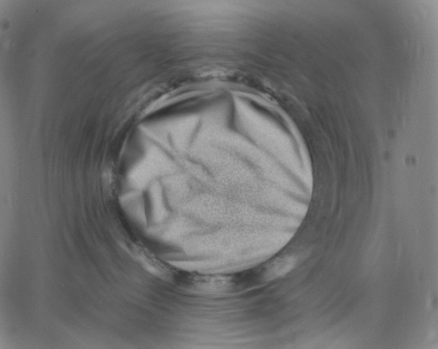 X0000062600288200601181612