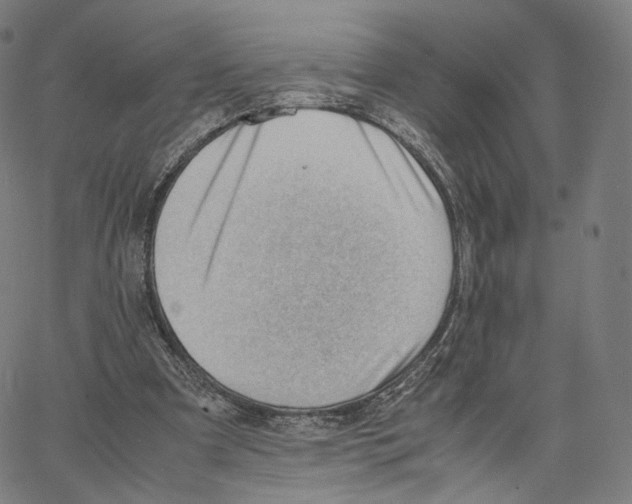 X0000062600297200601181611