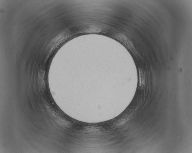 X0000062600300200601181611