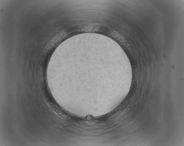 X0000062600303200601181611