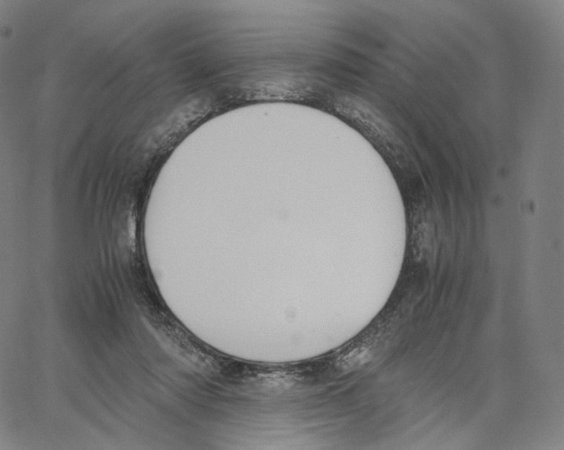 X0000062600310200601181611