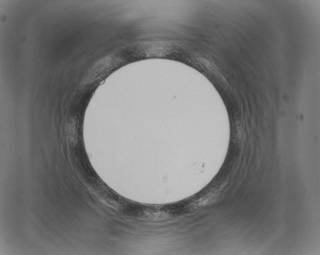 X0000062600311200601181611