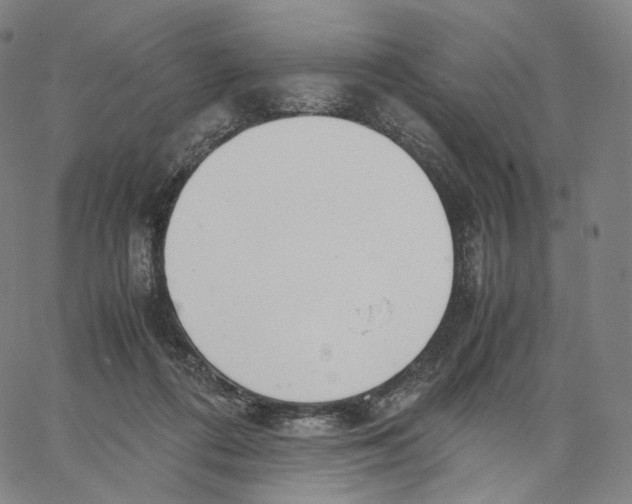 X0000062600312200601181611
