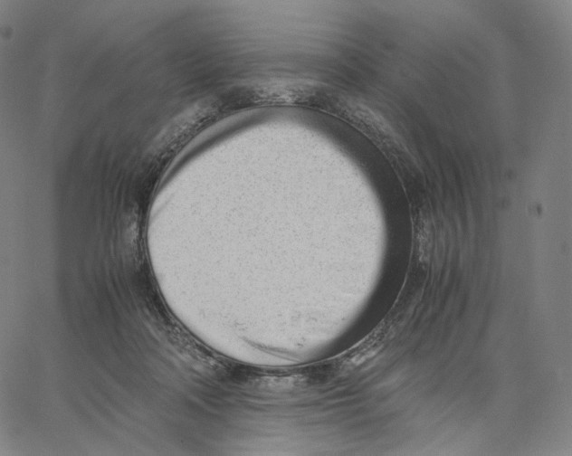 X0000062600314200601181611