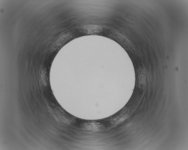 X0000062600316200601181611