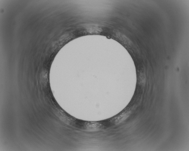 X0000062600321200601181611