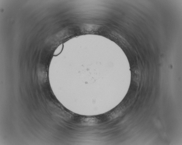 X0000062600324200601181611
