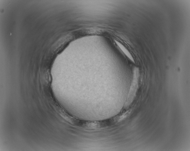 X0000062600325200601181611