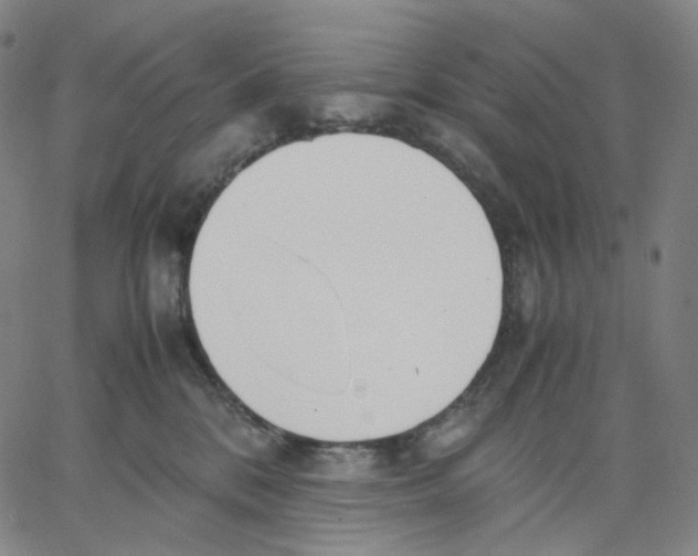 X0000062600328200601181611