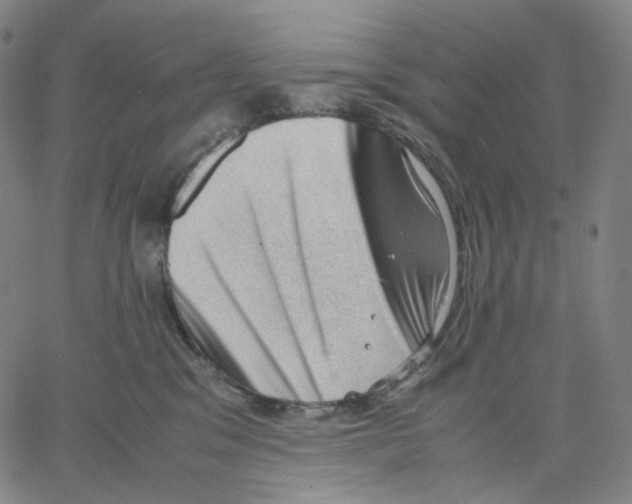 X0000062600329200601181611