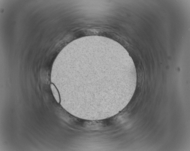 X0000062600331200601181611
