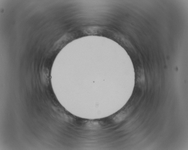 X0000062600332200601181611