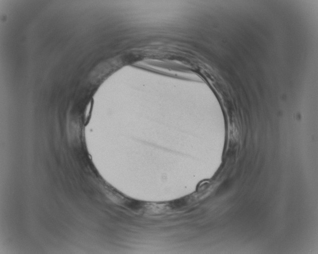 X0000062600333200601181611