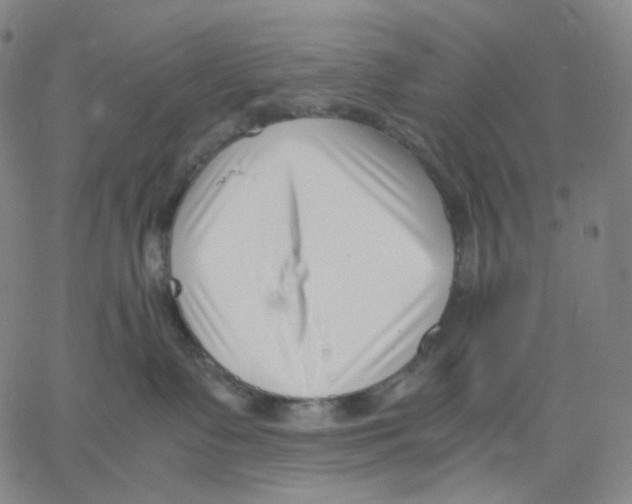 X0000062600335200601181610