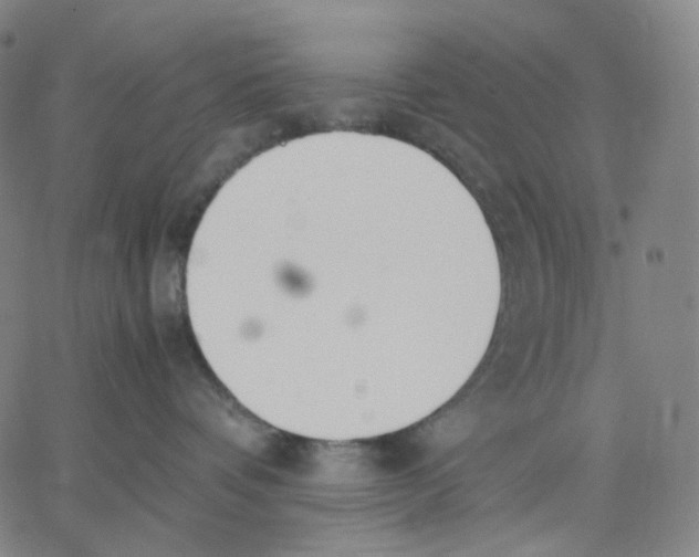 X0000062600336200601181610