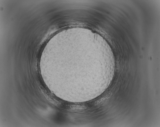 X0000062600347200601181610