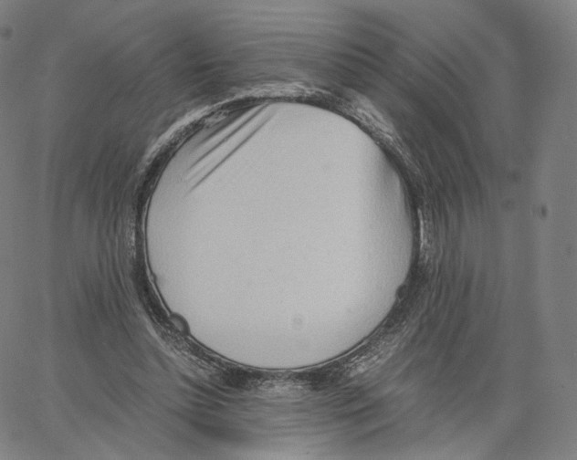 X0000062600348200601181610