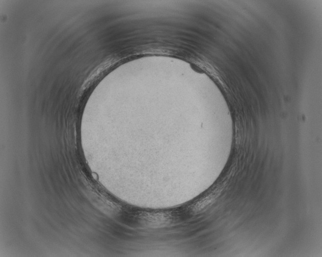 X0000062600349200601181610