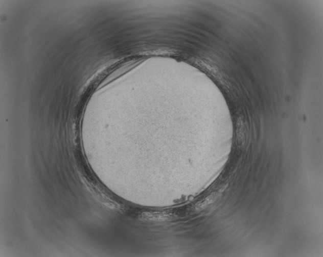 X0000062600351200601181610
