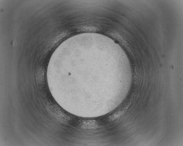 X0000062600355200601181610