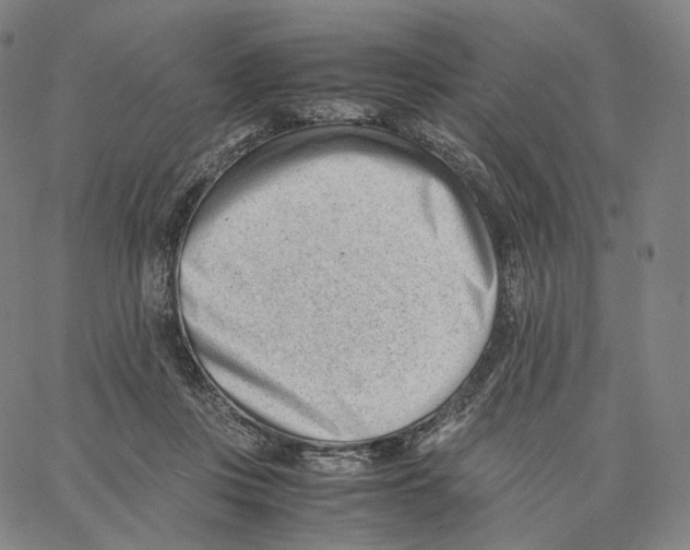 X0000062600359200601181610