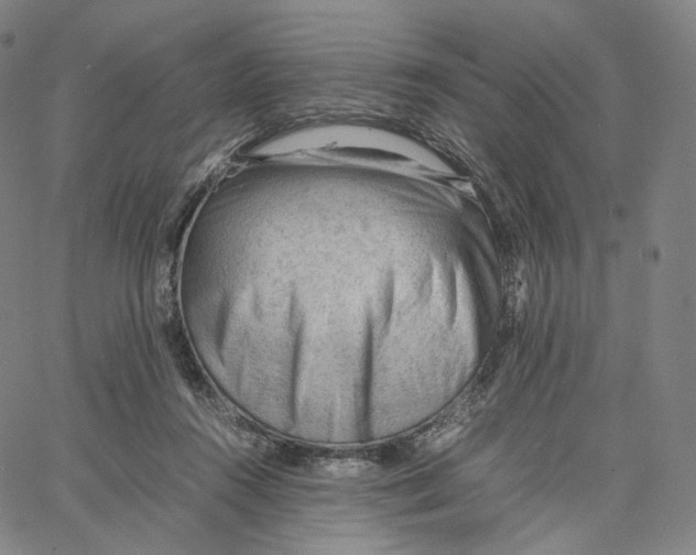 X0000062600360200601181610